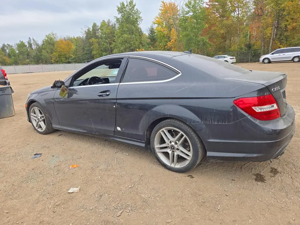 2012 MERCEDES-BENZ C 250  