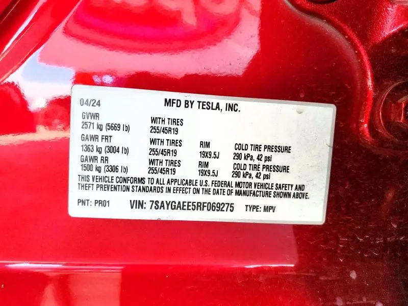 2024 TESLA MODEL Y   