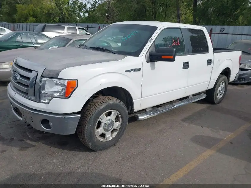 2012 FORD F-150 XLT