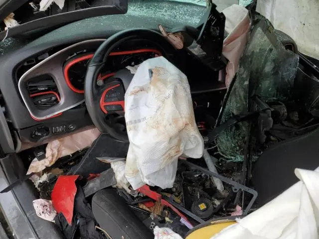 2019 DODGE CHARGER R/T  