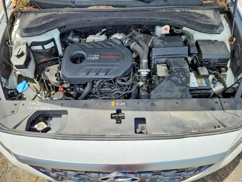 2019 HYUNDAI SANTA FE LIMITED 2.0T  