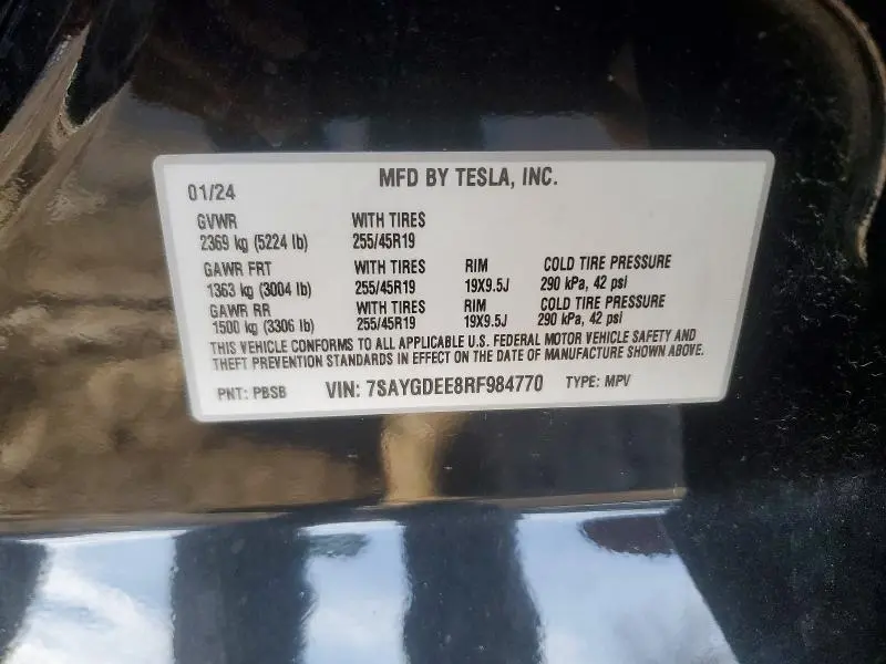 2024 TESLA MODEL Y   