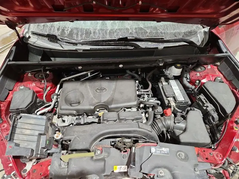 2019 TOYOTA RAV4 XLE  