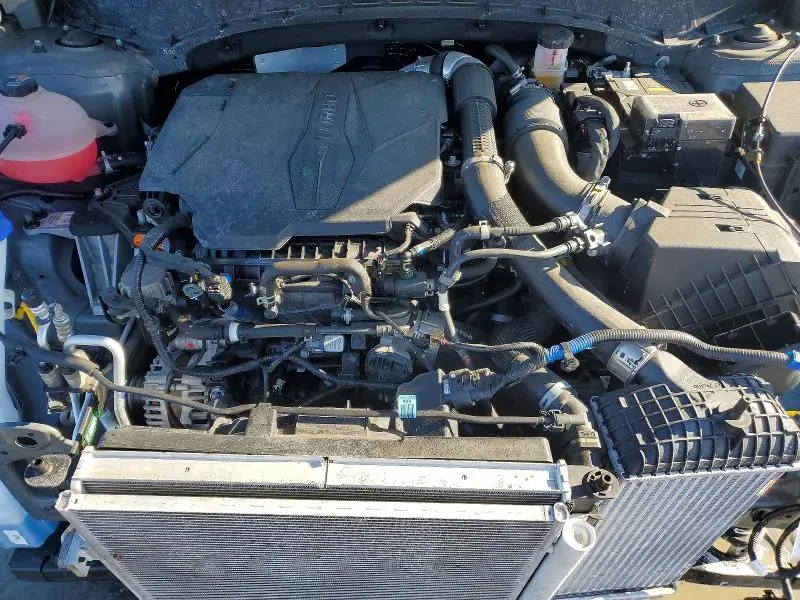 2024 HYUNDAI SANTA CRUZ NIGHT  