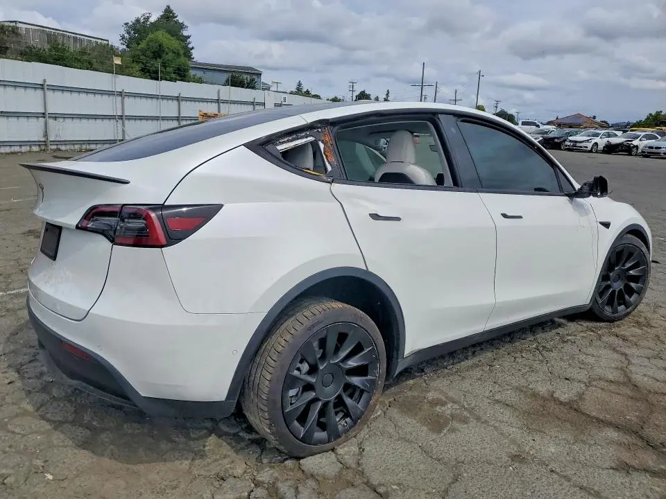 2021 TESLA MODEL Y   