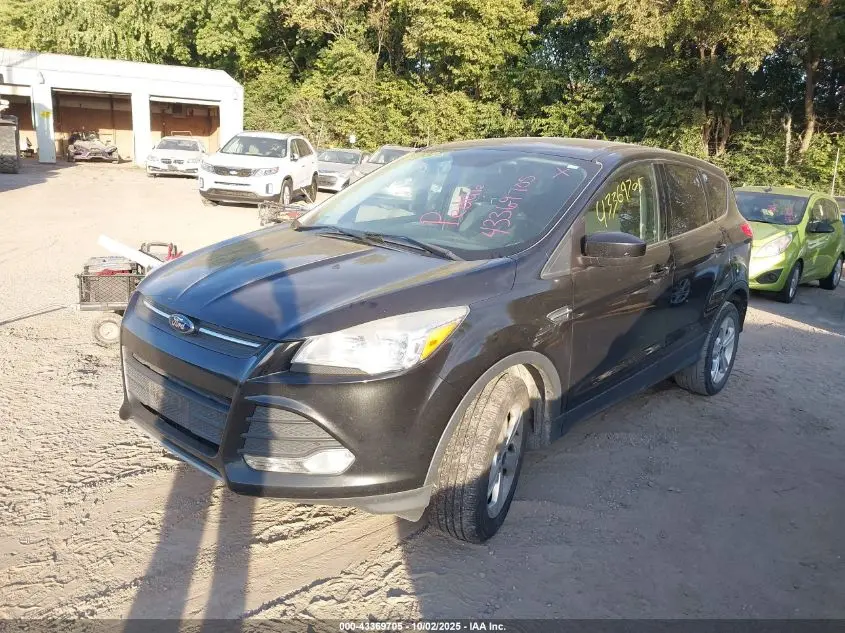 2014 FORD ESCAPE SE