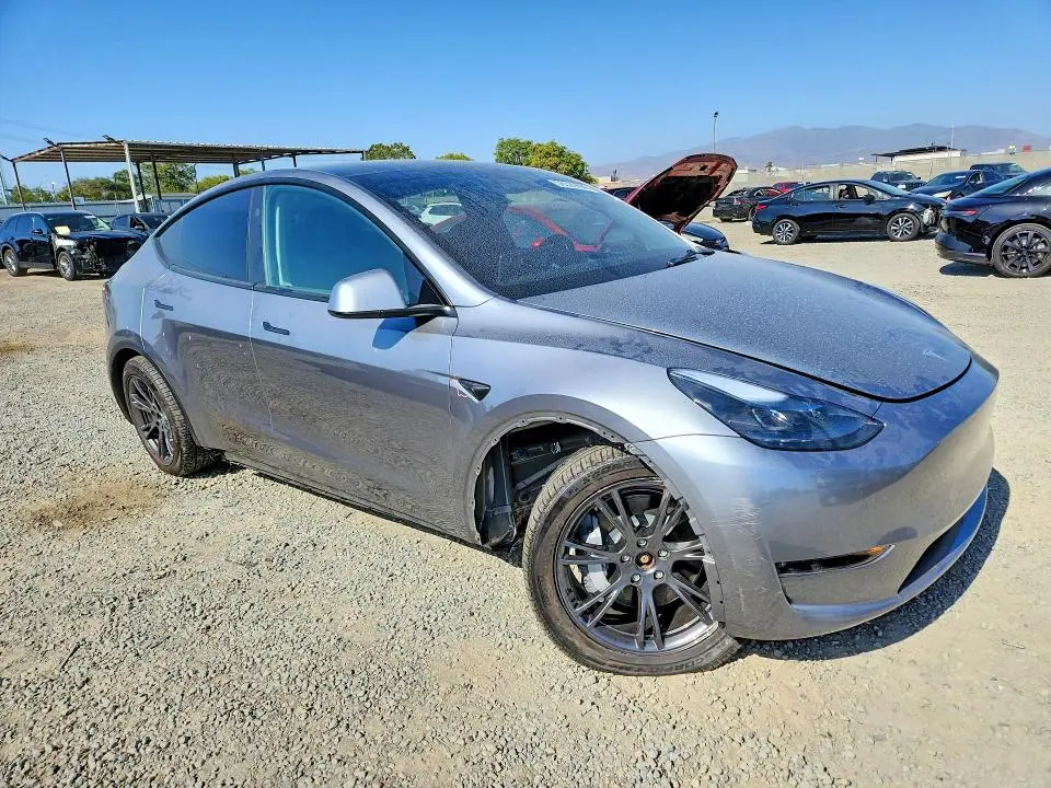 2025 TESLA MODEL Y   