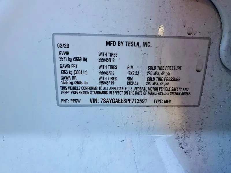 2023 TESLA MODEL Y   