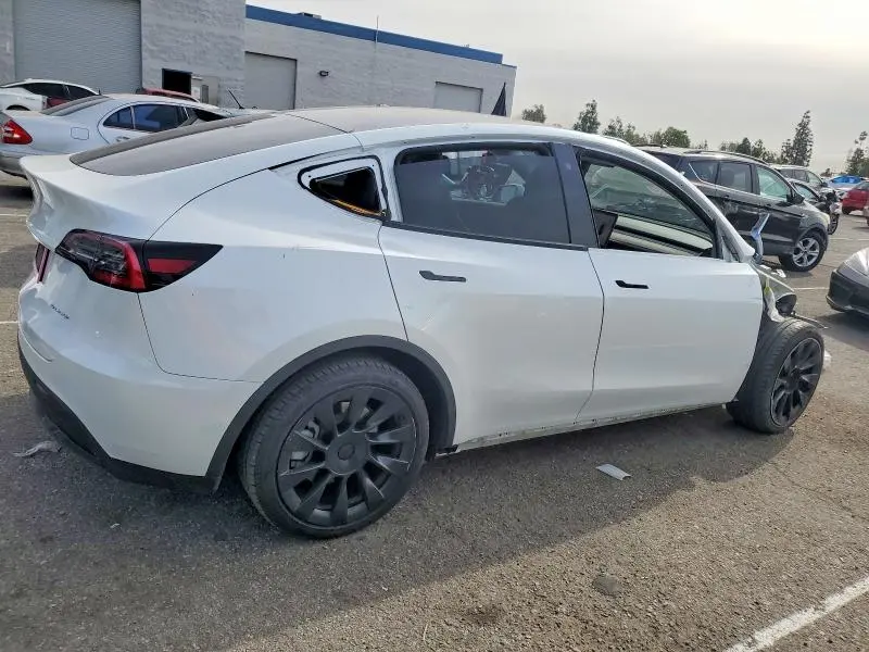 2020 TESLA MODEL Y   