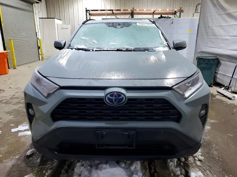 2019 TOYOTA RAV4 XLE  