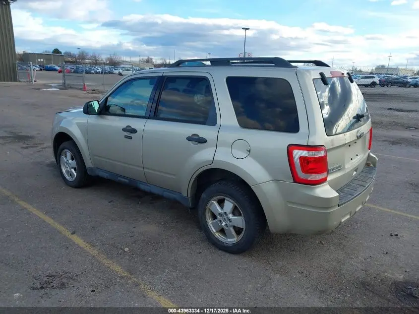 2011 FORD ESCAPE XLT