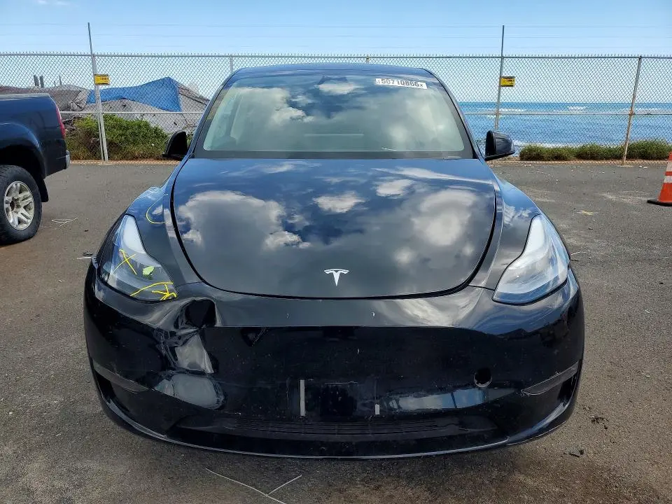 2025 TESLA MODEL Y   