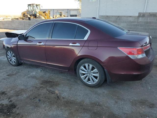 2011 HONDA ACCORD EXL