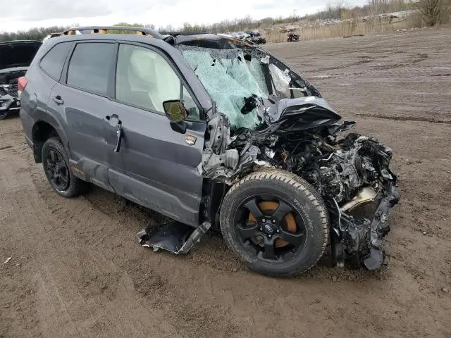 2023 SUBARU FORESTER WILDERNESS  