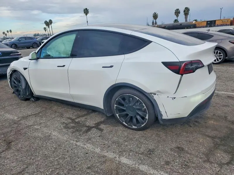 2021 TESLA MODEL Y   