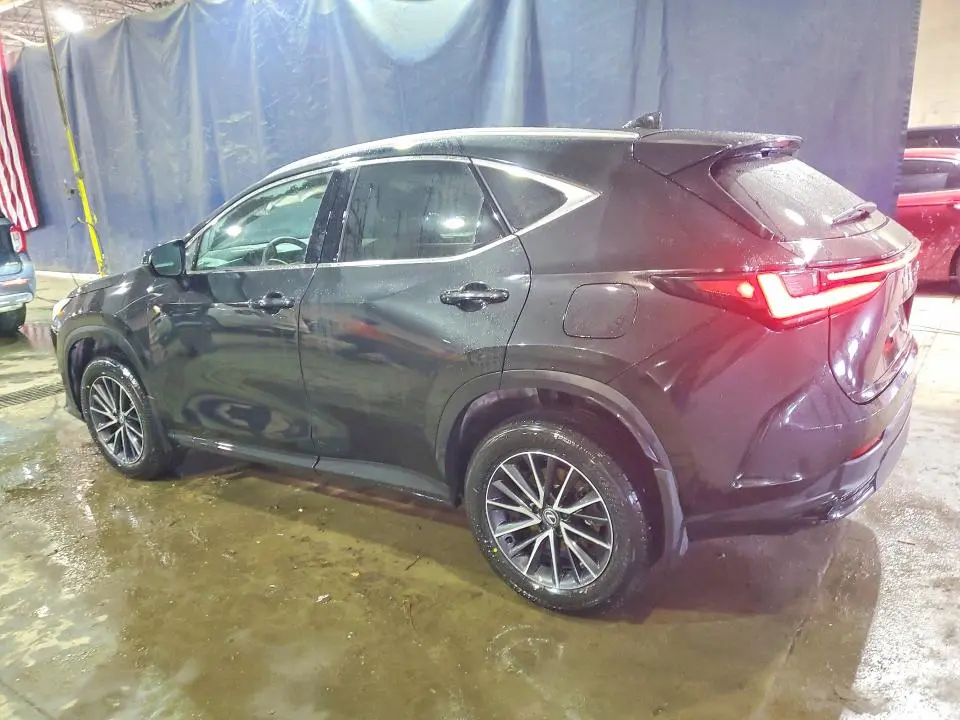 2024 LEXUS NX 350 BASE  