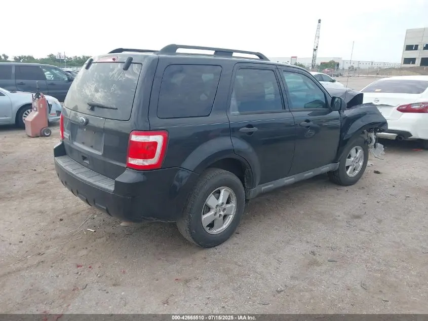 2010 FORD ESCAPE XLT