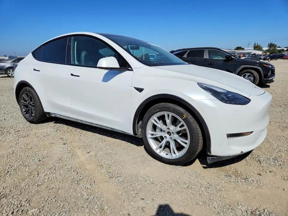 2024 TESLA MODEL Y   