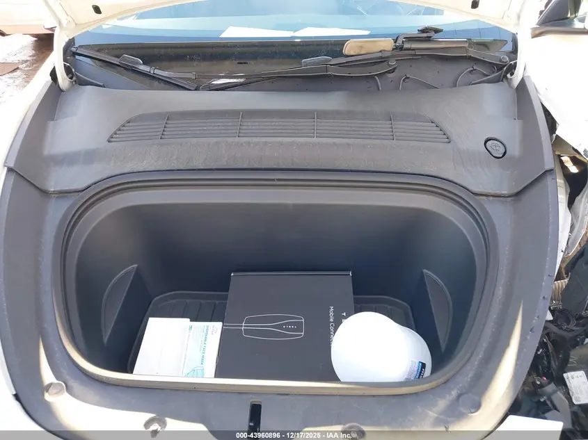 2024 TESLA MODEL Y RWD