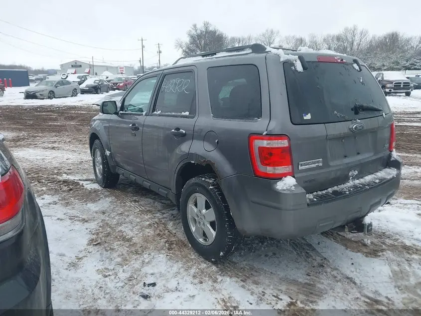 2010 FORD ESCAPE XLT