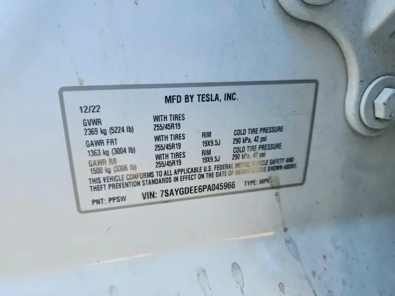 2023 TESLA MODEL Y   