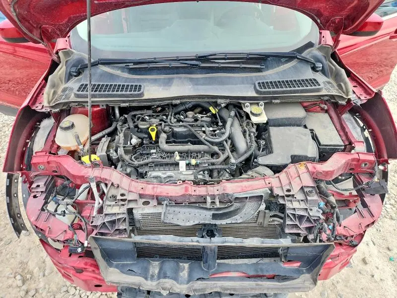 2019 FORD ESCAPE SEL  