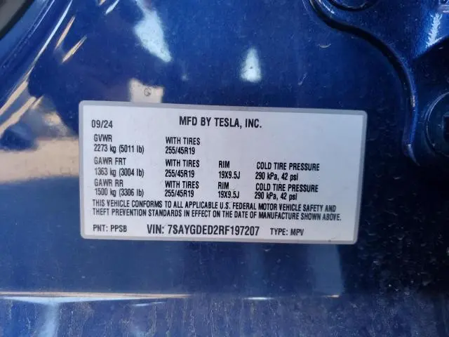 2024 TESLA MODEL Y   