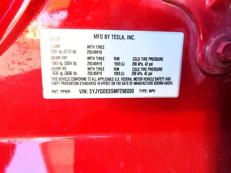 2021 TESLA MODEL Y   