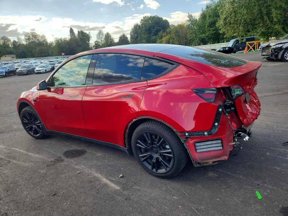 2021 TESLA MODEL Y   