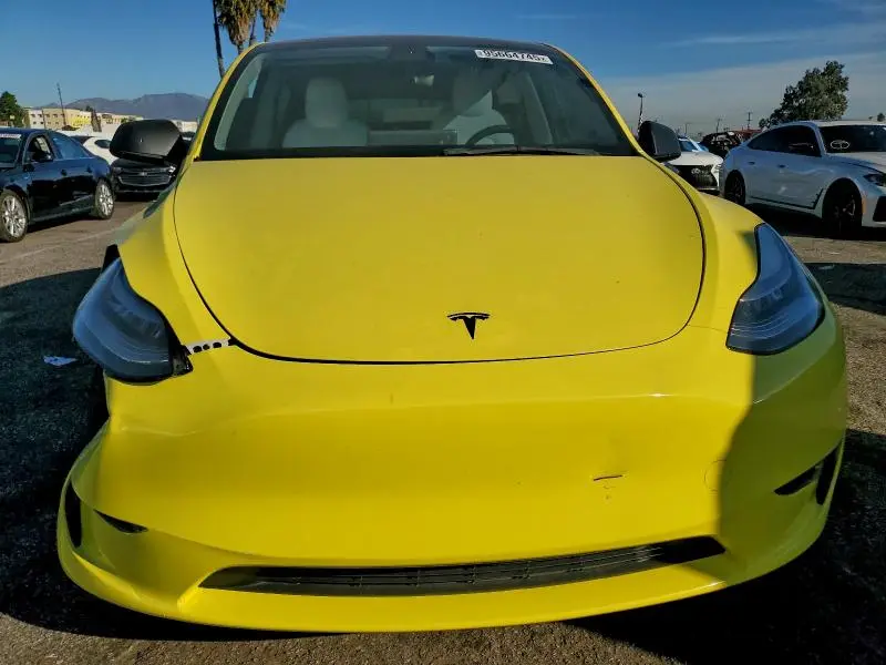 2021 TESLA MODEL Y   