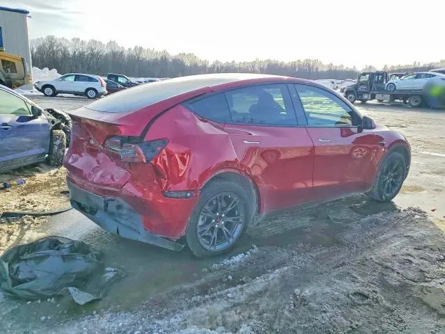 2025 TESLA MODEL Y   