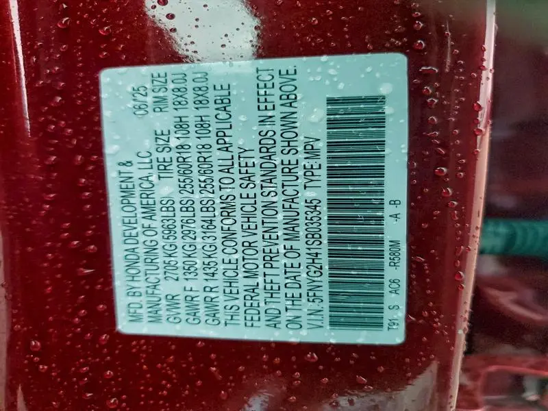 2025 HONDA PILOT EXL  