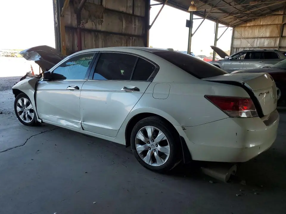 2010 HONDA ACCORD EXL  