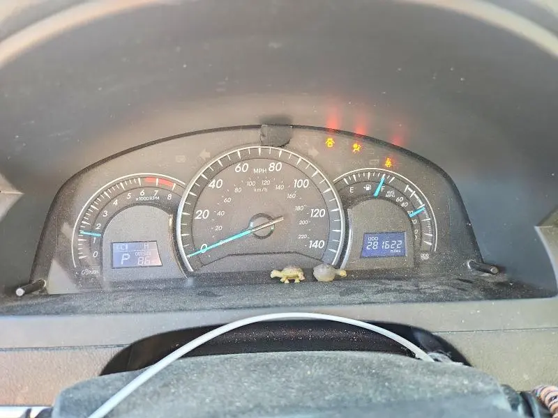 2014 TOYOTA CAMRY LE  