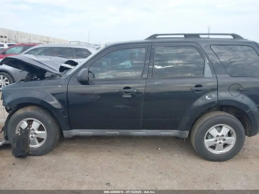 2010 FORD ESCAPE XLT