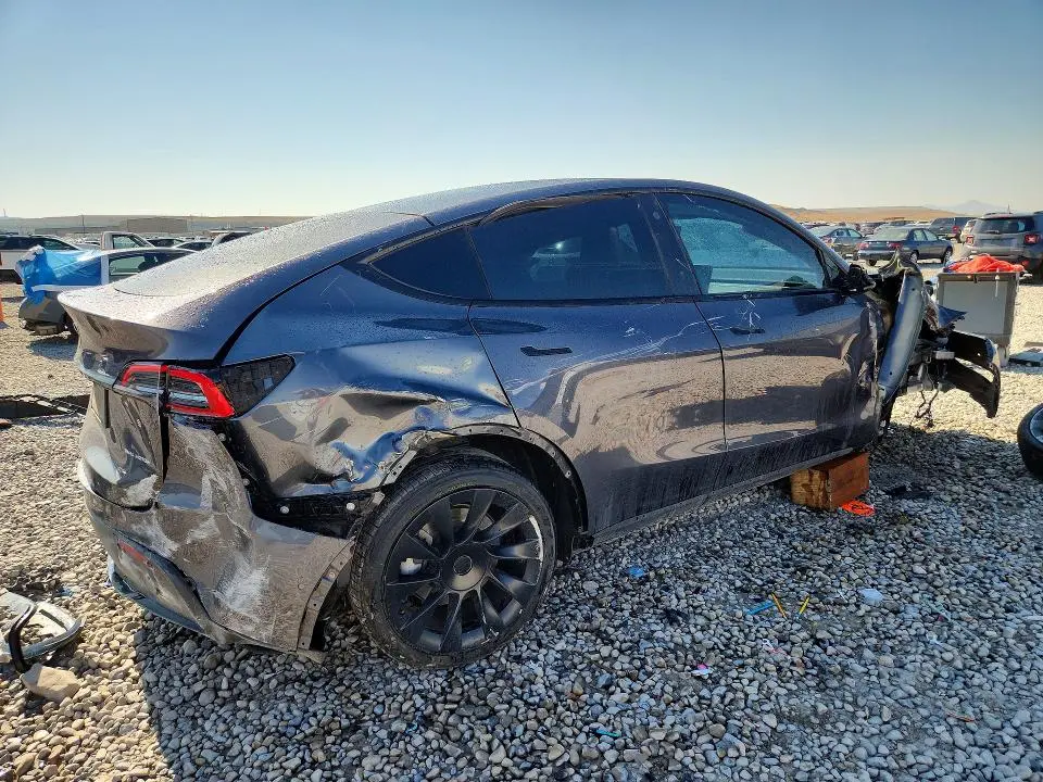 2021 TESLA MODEL Y   