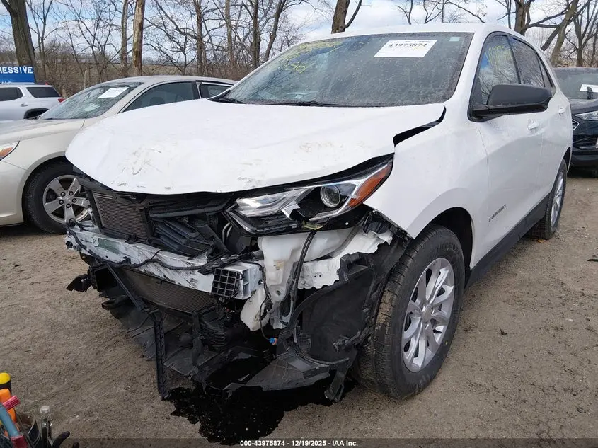 2019 CHEVROLET EQUINOX LS