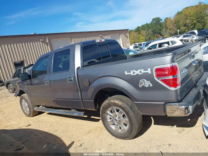 2013 FORD F-150 XLT