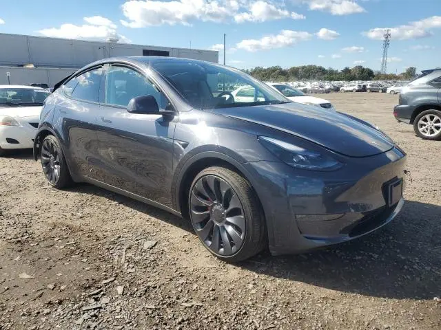 2025 TESLA MODEL Y   
