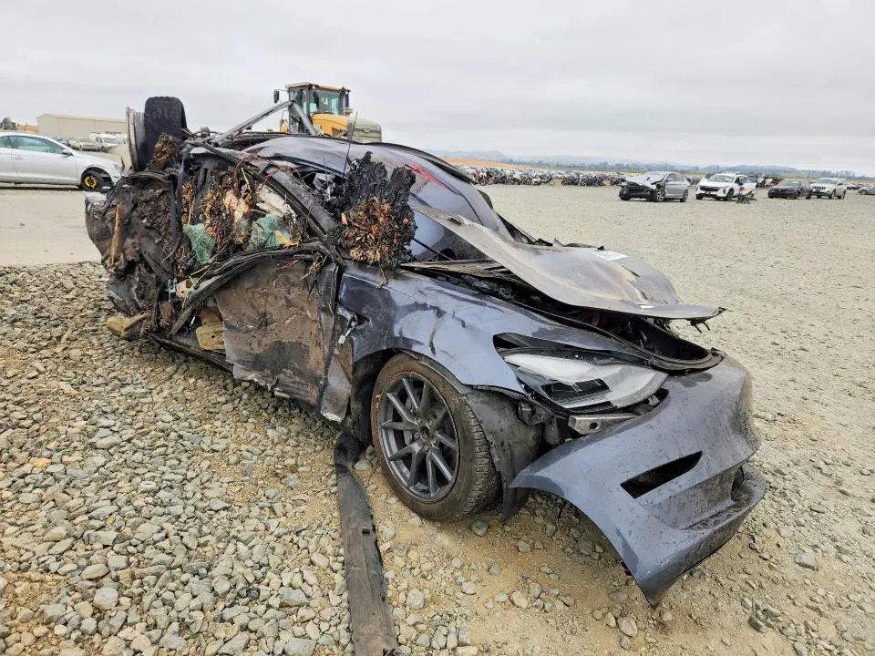 2023 TESLA MODEL 3   