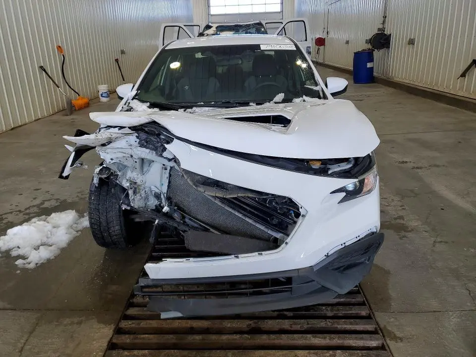 2024 SUBARU WRX   