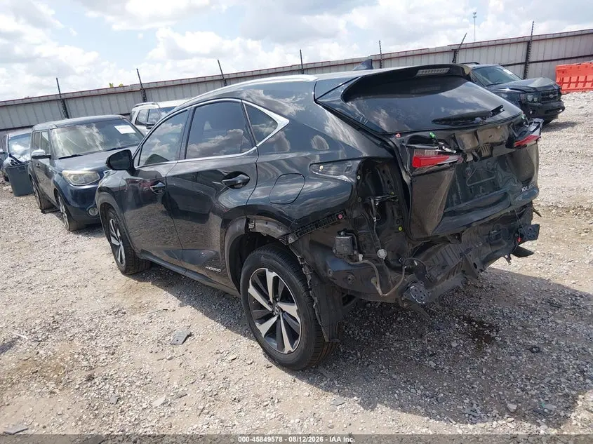 2019 LEXUS NX 300H  