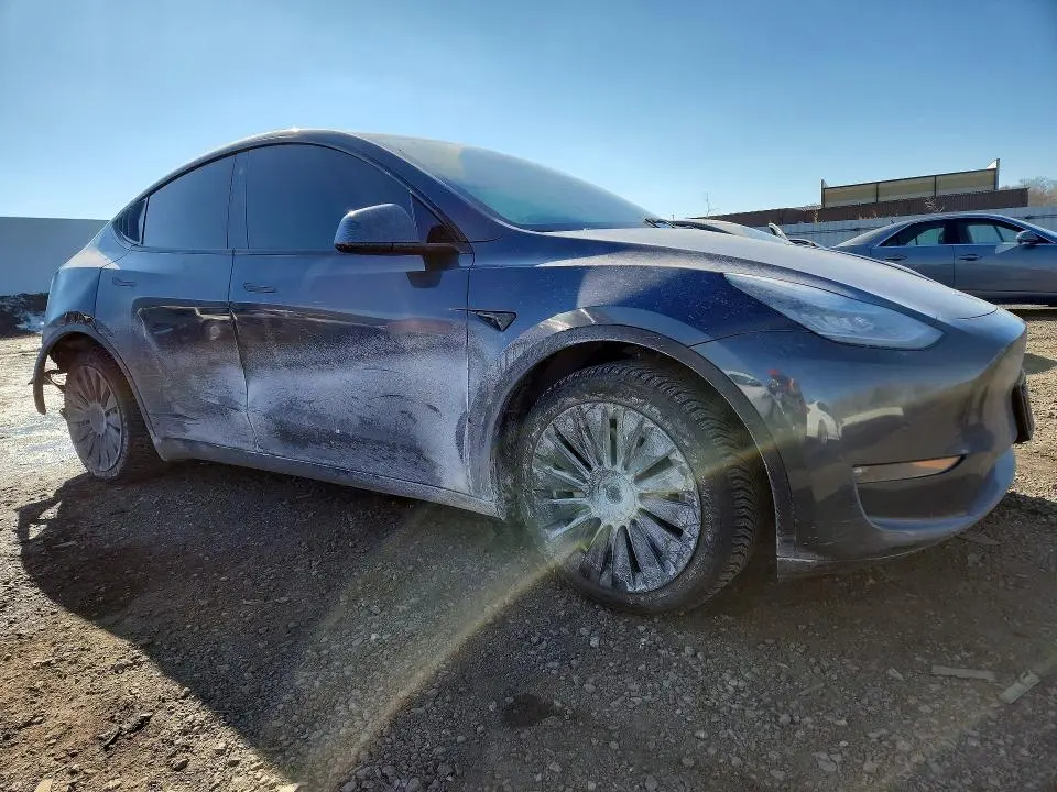 2021 TESLA MODEL Y   