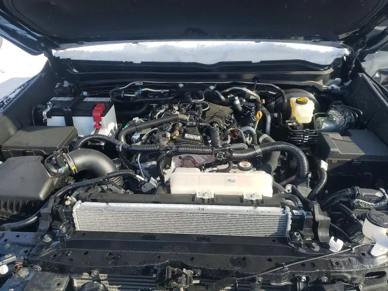 2025 TOYOTA TACOMA DOUBLE CAB  