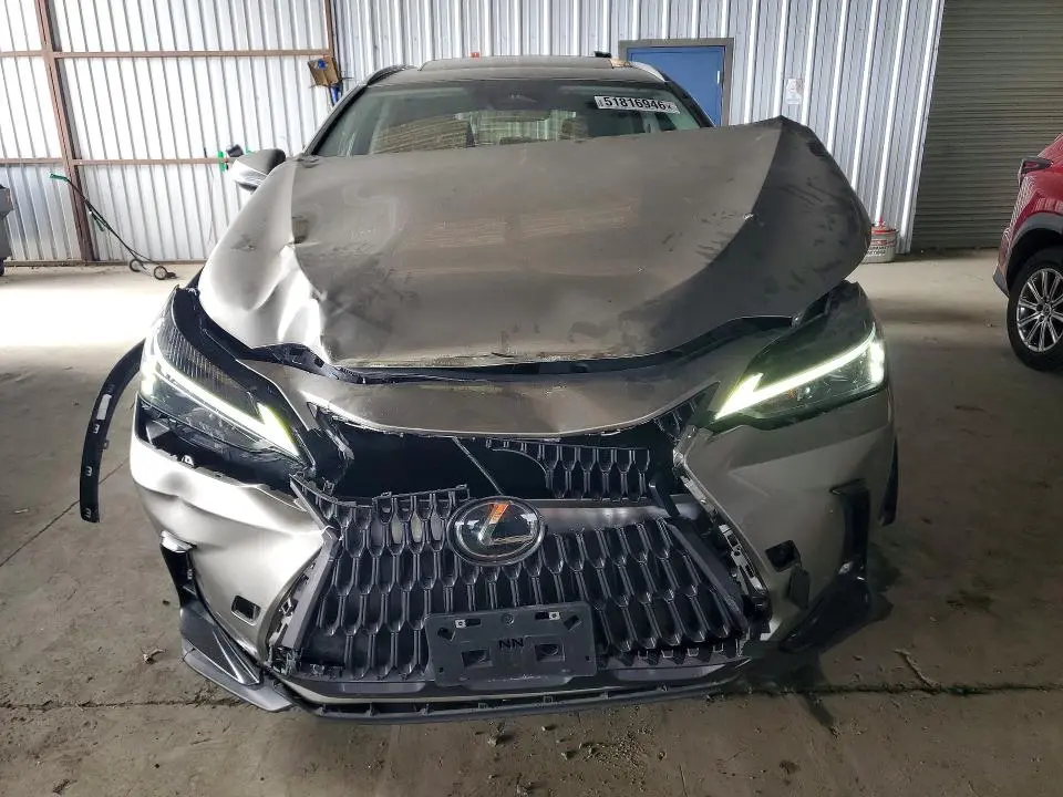 2023 LEXUS NX 350  