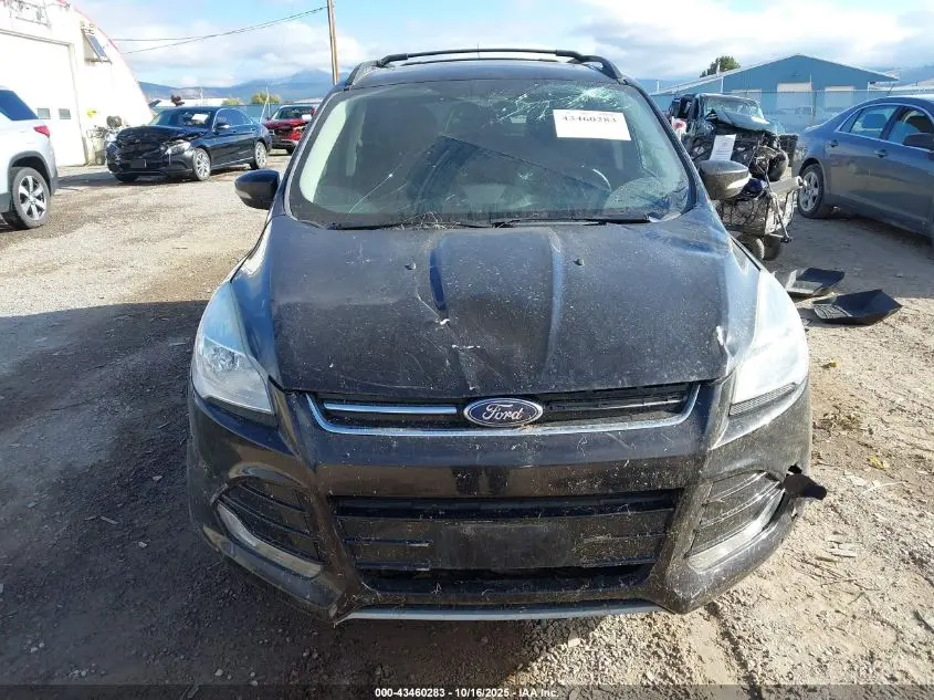 2013 FORD ESCAPE SEL