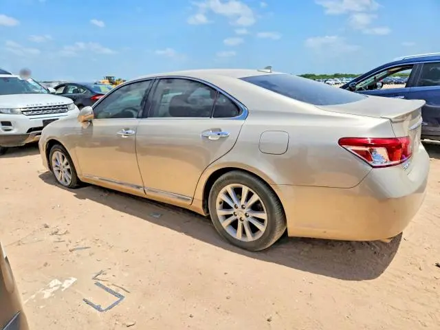 2010 LEXUS ES 350  