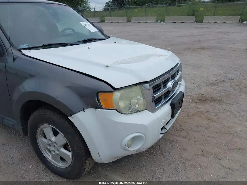 2012 FORD ESCAPE XLT