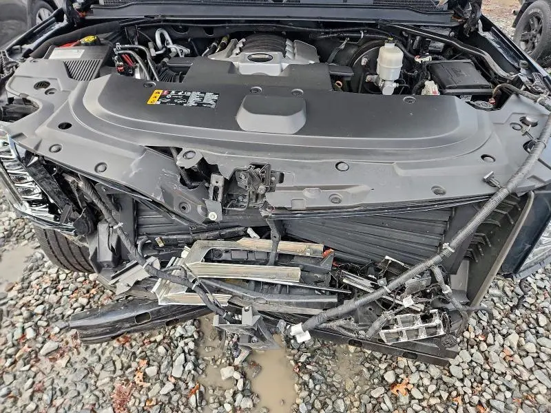 2019 CADILLAC ESCALADE ESV PLATINUM  