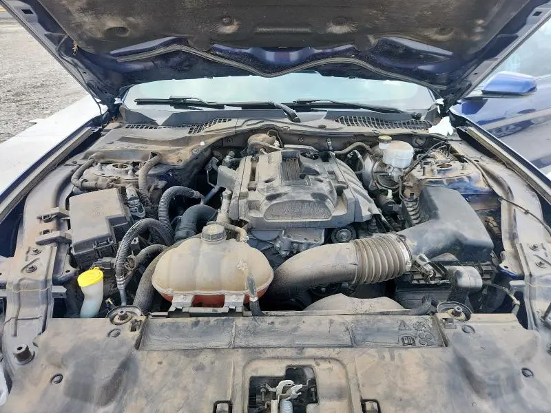 2019 FORD MUSTANG   